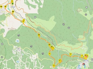 a0297 - Urtx-Alp to La Molina Mushroom hunting hike