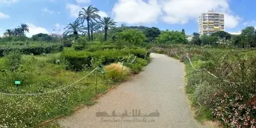 Parc De Cervantes Rose Garden in Avenida Diagonal
